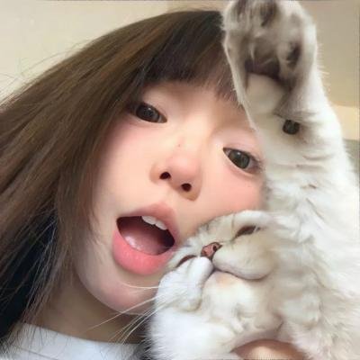 未命名的特雷·帕克电影